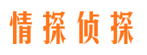 盘县市婚外情调查